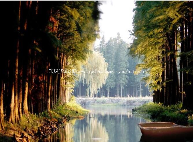 4A�˻�����ˮ��ɭ�־������ι���