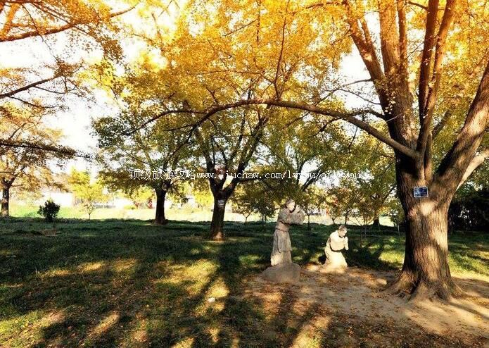 3A̩�˹��ҹ����ӹ�԰���ι���