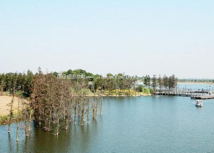 3A�������ǹ�԰���ι���