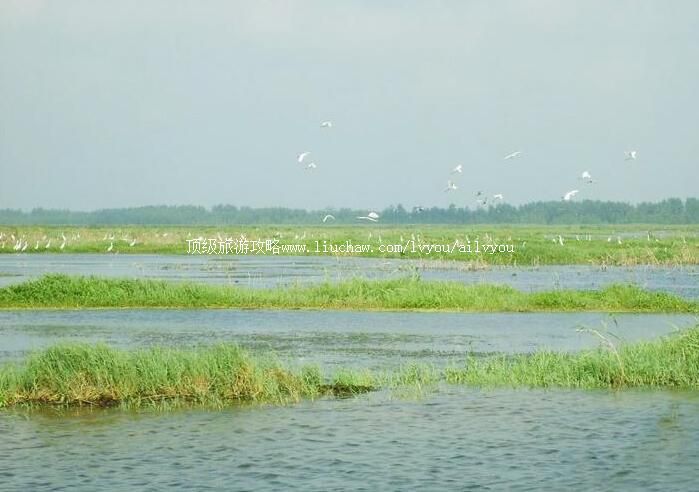 5A泗洪洪泽湖湿地景区旅游攻略
