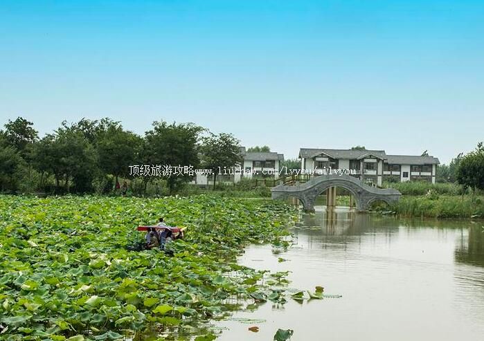 3A泗洪穆墩岛旅游攻略