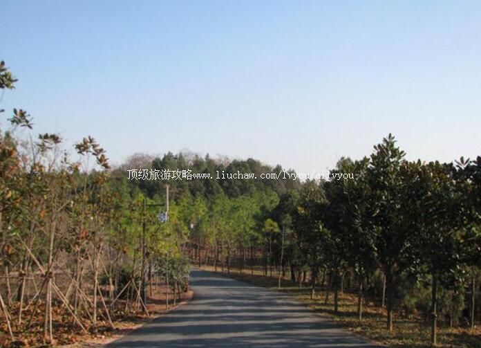 2A宿迁嶂山森林公园旅游攻略