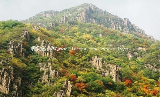 4A�ӱ�����ɽ����ɭ�ֹ�԰���ι���