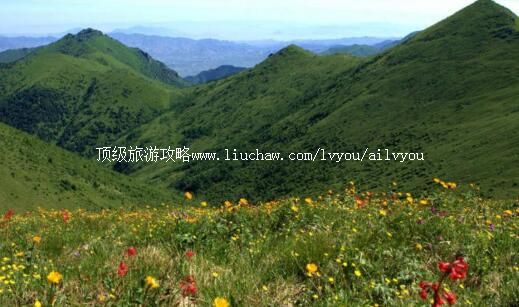 河北小五台山国家级自然保护区旅游攻略