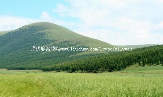 河北张家口沽源塞外庄园旅游攻略