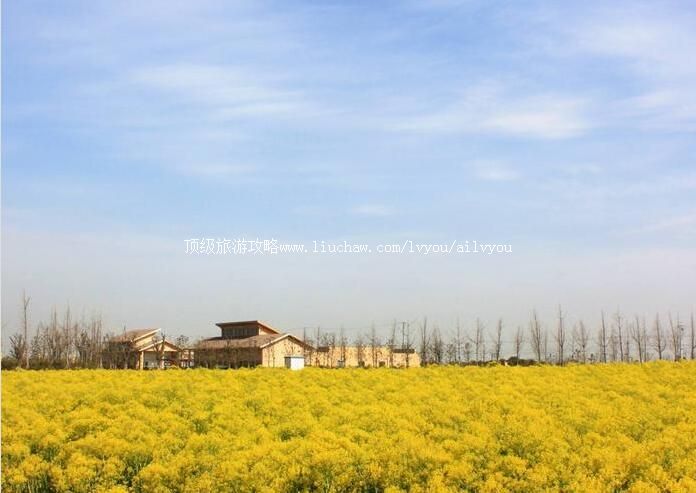 3A������޳���ҩ��ֲ��԰���ι���