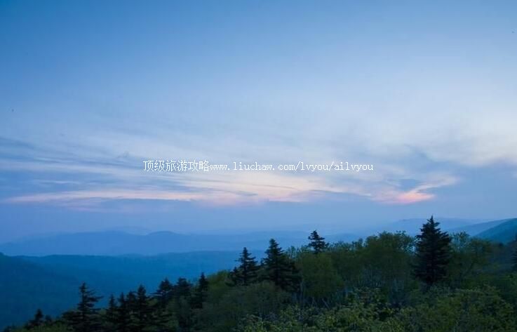 2A�����������ɽɭ�ֹ�԰���ι���