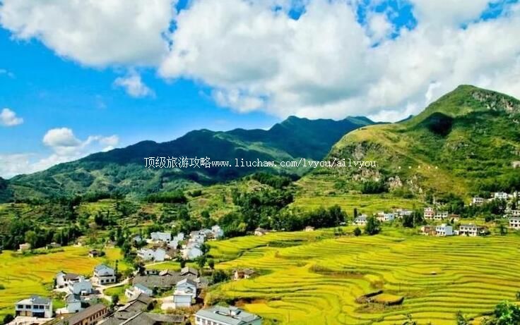 4A���������������߹��������ι���