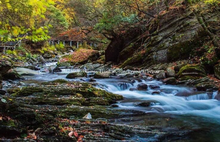 4A��������ƽ������Ͽ�������ι���