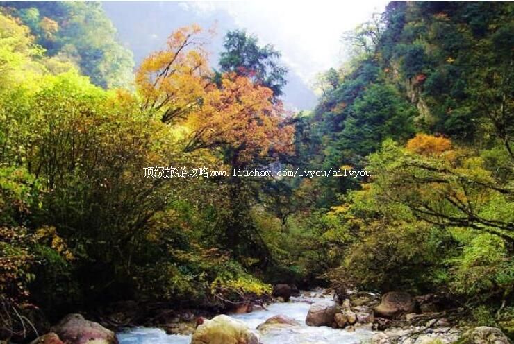 4A��������˫����̬���ζȼ������ι���