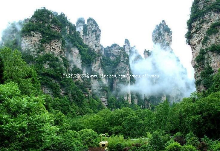 4A�����Ϲ�ɽ����ɭ�ֹ�԰���ι���