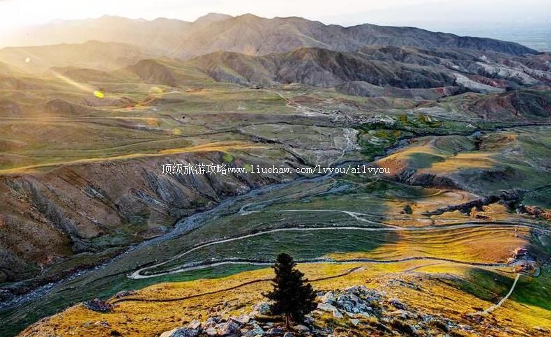 4A���ྰ̩��¹ɽɭ�ֹ�԰���ι���