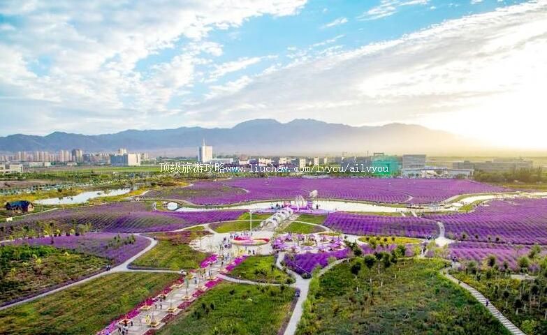 4A�������Ͻ𻨳����ι���