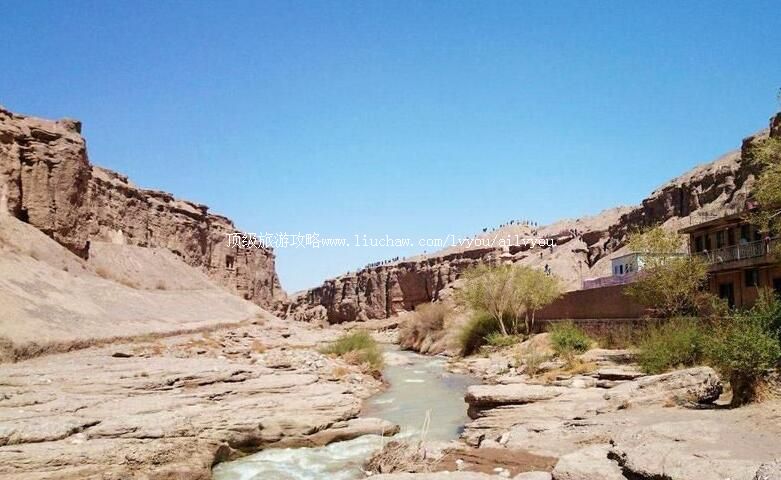 ����������ֿ����ι���