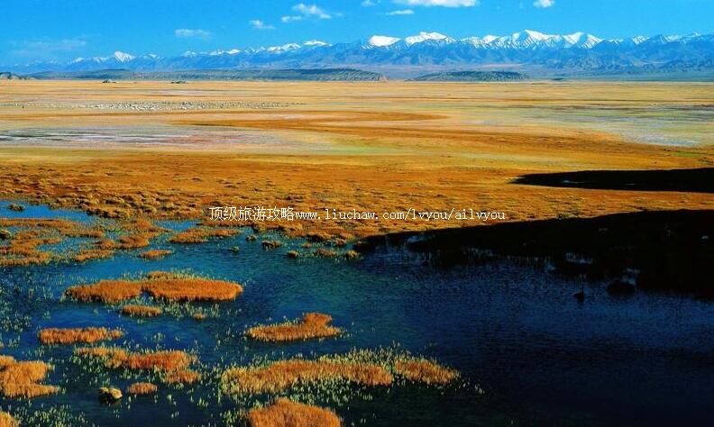 甘肃盐池湾国家级自然保护区旅游攻略