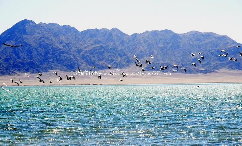 2A甘肃阿克塞苏干湖候鸟自然保护区旅游攻略