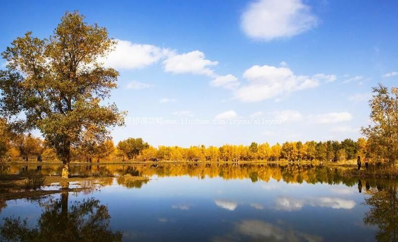 4A����������������ι���