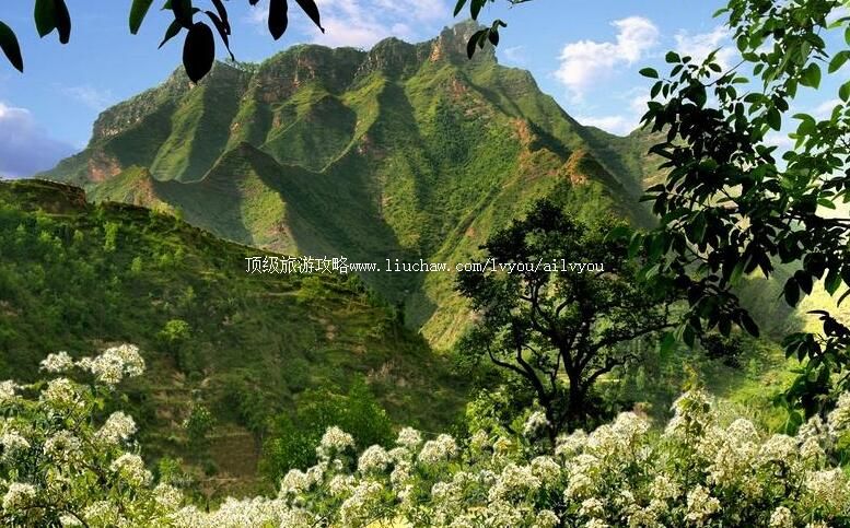 �������ͳ��ɽ���ι���