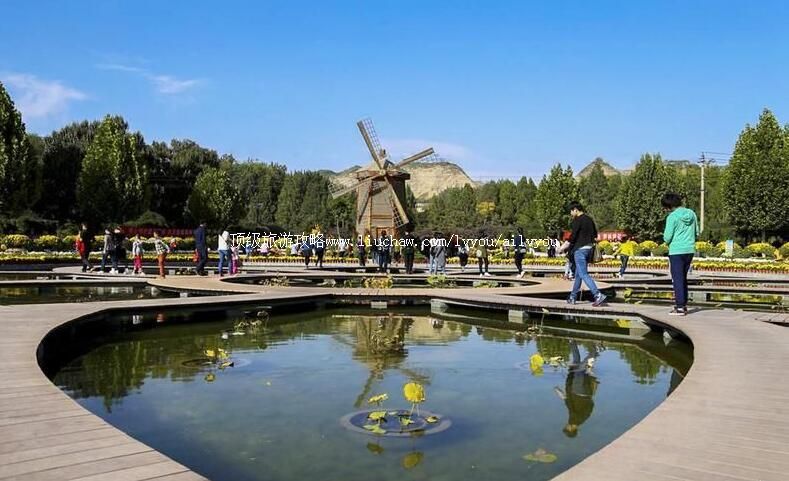 ��������ֲ��԰���ι���