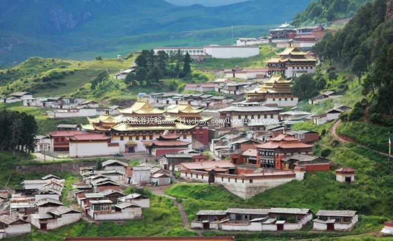 2A������ľ�����ι���