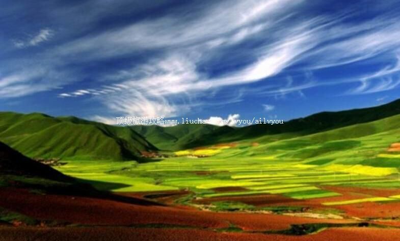 2A�����ĺ�ɣ�Ʋ�ԭ���ι���