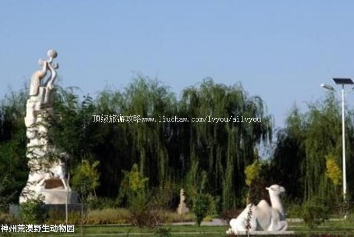 4A�������ݻ�ĮҰ������԰���ι���