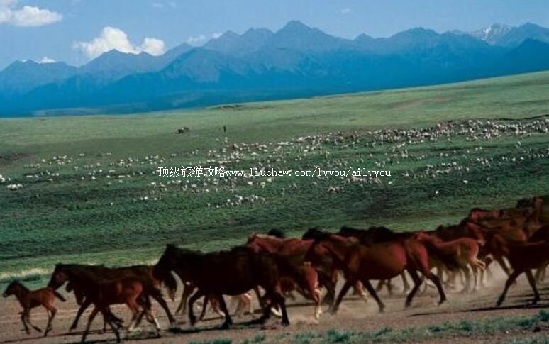 ��������ɽ���Ҽ���Ȼ���������ι���