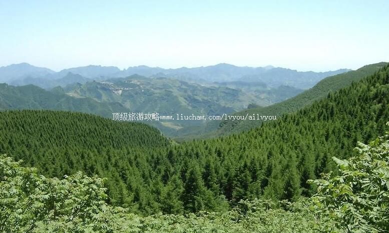 ������Ҵɭ�ֹ�԰���ι���