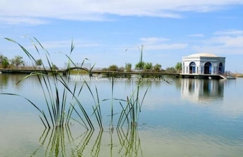 2A��������˫Ȫ�����ι���