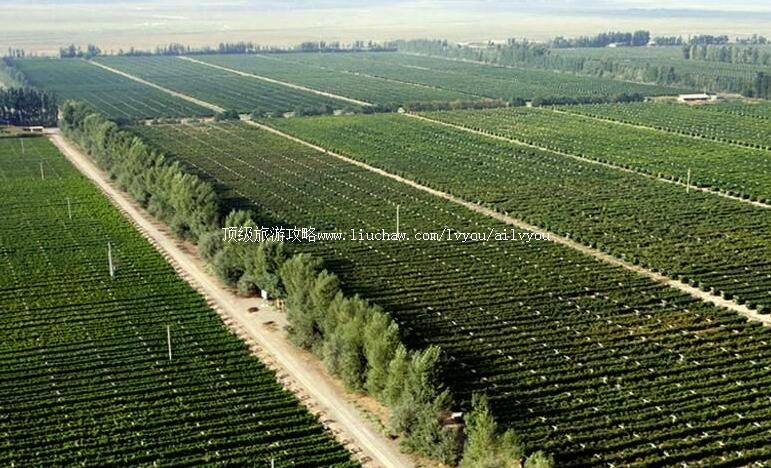 3A�����̨��������ׯ԰���ι���