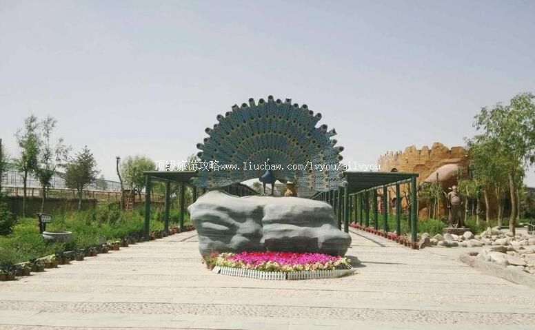 4A����������л���ȸԷ�������ι���