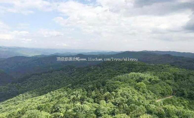 3A�������������ɭ�ֹ�԰���ι���