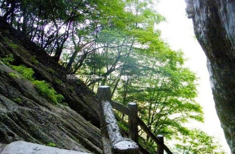 ������ˮ���ɽ���ι���