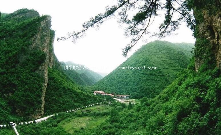 3A������ɽ��ţɽɭ�ֹ�԰���ι���