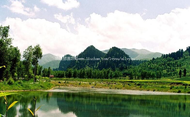 4A�����������������ι���