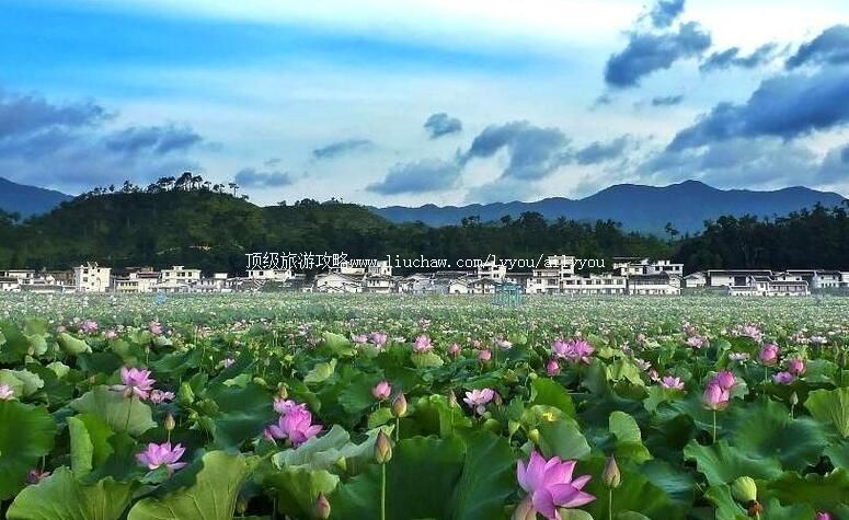 4A��������й������������ι���