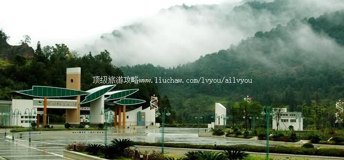 4A江西赣州阳岭国家森林公园旅游攻略