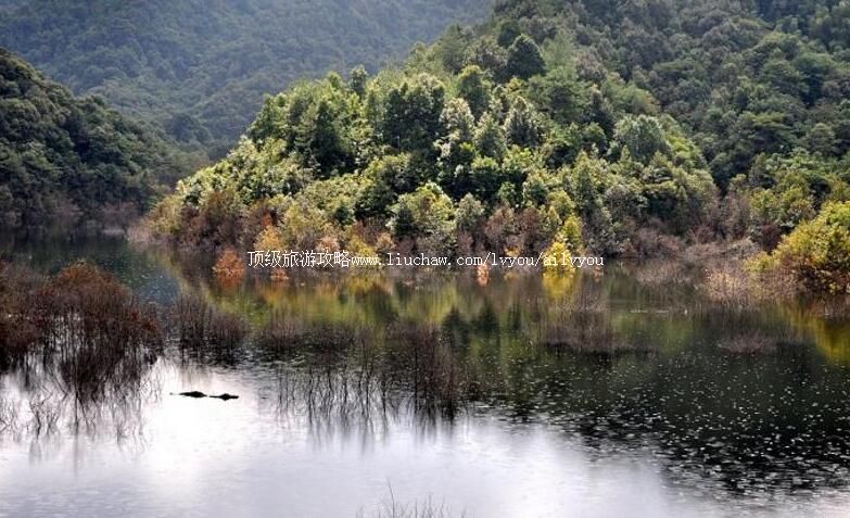 江西九连山国家森林公园旅游攻略