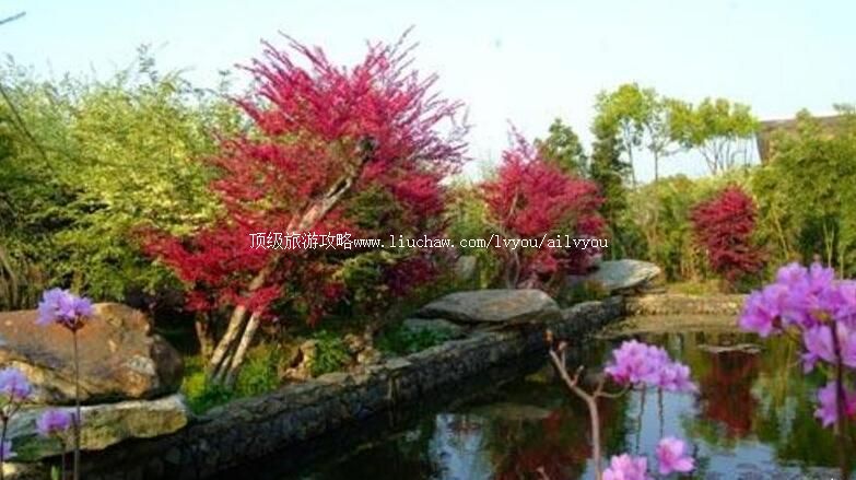 4A���������������̬԰���ι���