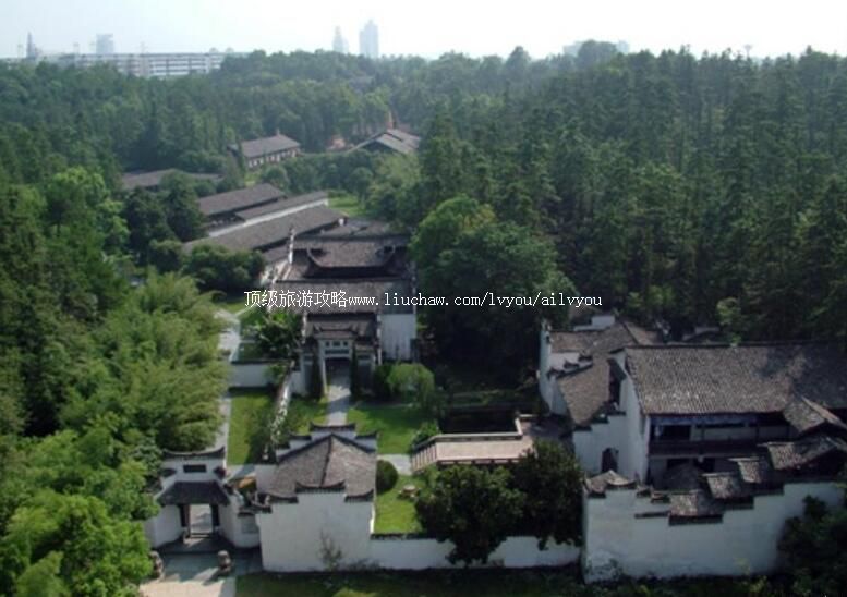 5A�����������Ҥ���ײ��������ι���