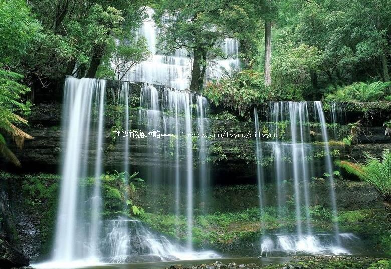 �����Ž��һ�Դ���ι���