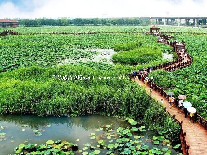 5A���ݺ�����ɫʪ�ع�԰���ι���