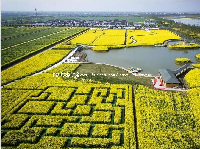 3A�żҸ۳���ɳ��̬ũҵ���������ι���