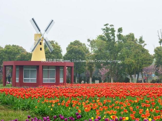 3A�����й�����ֲ��԰���ι���