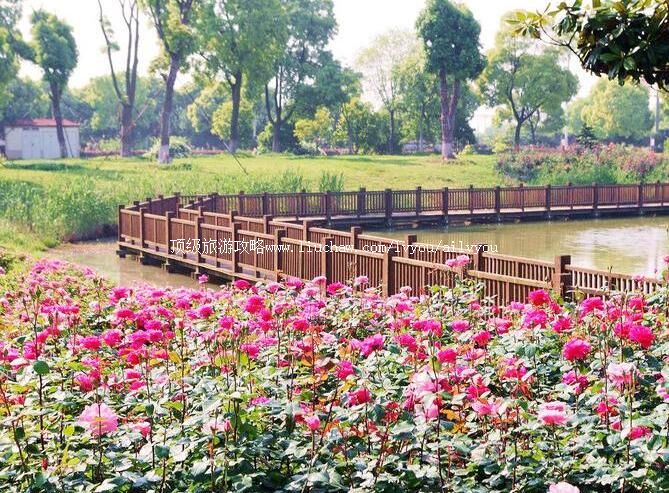 3A�������ʢ����¼�԰���ι���