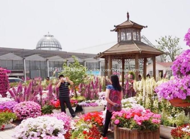 3A������ȷ�ƾ������ι���