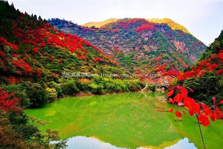 3A�����������Ͽ���ι���