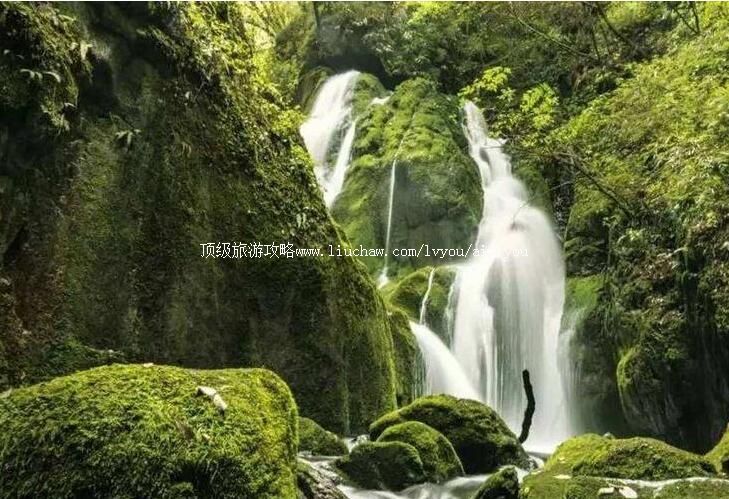 3A陕西凤县紫柏山森林公园旅游攻略