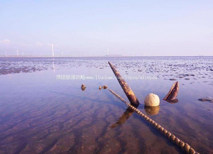 3A�����ƽ�̲�������ι���