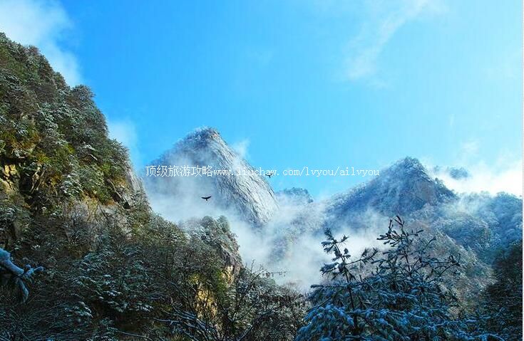 4A��������̫�����Ͽɭ�ֹ�԰���ι���